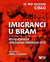 Książka ePub Imigranci u bram kryzys uchodÅºczy i mÄ™czeÅ„stwo chrzeÅ›cijan XXI w - brak