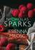 Książka ePub Jesienna miÅ‚oÅ›Ä‡ - Nicholas Sparks