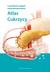 Książka ePub Atlas cukrzycy | ZAKÅADKA GRATIS DO KAÅ»DEGO ZAMÃ“WIENIA - Lepori Luis Raul