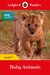 Książka ePub BBC Earth: Baby Animals Ladybird Readers Level 1 | - Ladybird