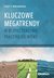 Książka ePub Kluczowe megatrendy w bezpieczeÅ„stwie paÅ„stwa XXI wieku - Aleksandrowicz Tomasz R.