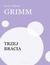 Książka ePub Trzej bracia - Jacob i Wilhelm Grimm