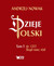 Książka ePub Dzieje Polski. TOM 1 do 1202 SkÄ…d nasz rÃ³d - Andrzej Nowak