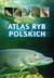 Książka ePub Atlas ryb polskich. 140 gatunkÃ³w - Bogdan WziÄ…tek, Åukasz Kolasa