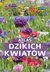 Książka ePub Atlas dzikich kwiatÃ³w - Mederska MaÅ‚gorzata, Mederski PaweÅ‚