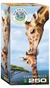 Książka ePub Puzzle 250 Giraffes 8251-0294 - brak