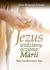 Książka ePub Jezus widziany oczyma Marii - Ireland Joan Krogstad