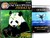 Książka ePub Wielka Encyklopedia ZwierzÄ…t 04 Ssaki / Wieloryby giganty gÅ‚Ä™bin [ksiÄ…Å¼ka]+[DVD] - brak