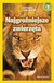 Książka ePub National Geographic Kids NajgroÅºniejsze zwierzÄ™ta Melissa Stewart - zakÅ‚adka do ksiÄ…Å¼ek gratis!! - Melissa Stewart