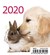 Książka ePub Kalendarz 2020 biurkowy mini przyjaciele [KALENDARZ] - brak