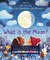 Książka ePub Lift-the-flap Very First Questions and Answers What is the Moon? | - Daynes Katie