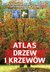 Książka ePub Atlas drzew i krzewÃ³w - Halarewicz Aleksandra