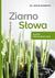 Książka ePub Ziarno SÅ‚owa. Nauki rekolekcyjne - ks. Artur Seweryn