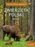 Książka ePub ZwierzÄ™ta Polski - brak