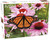 Książka ePub Puzzle Monarch Butterfly 1000 - brak