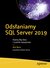 Książka ePub OdsÅ‚aniamy SQL Server 2019 - Bob Ward
