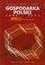 Książka ePub Gospodarka Polski 1990-2011 Tom 2 Modernizacja - zbiorowe Opracowanie