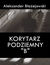 Książka ePub Korytarz podziemny "B" - Aleksander BÅ‚aÅ¼ejowski