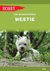 Książka ePub Westie. West highland white terrier (wyd. 2) - BÅ‚aszczyÅ„ska Eva