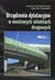 Książka ePub UrzÄ…dzenia dylatacyjne w mostowych obiektach drog. - Joanna Åucyk-Ossowska, Wojciech Radomski