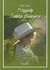 Książka ePub Przygody Tomka Sawyera TW w.2012 - brak