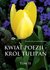 Książka ePub Kwiat poezji Tom 2 KrÃ³l tulipan - Jankiewicz Krystian Krzysztof