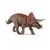 Książka ePub Triceratops - brak