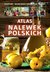 Książka ePub Atlas nalewek polskich - brak