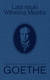 Książka ePub Lata nauki Wilhelma Meistra - Johann Wolfgang von Goethe