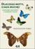 Książka ePub Dlaczego motyl zjada muchÄ™? Ewolucyjne opowieÅ›ci o motylach i Ä‡mach. - Krzysztof Pabis