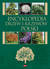 Książka ePub Encyklopedia drzew i krzewÃ³w - praca zbiorowa