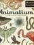 Książka ePub Animalium. Muzeum ZwierzÄ…t - Jenny Bloom, Katie Scott