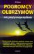 Książka ePub Pogromcy olbrzymÃ³w: moc pozytywnego myÅ›lenia - brak