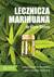 Książka ePub Lecznicza marihuana - Mark Sircus