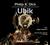 Książka ePub Ubik audiobook - brak
