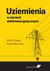 Książka ePub Uziemienia w sieciach elektroenergetycznych - Hoppel Witold, Marciniak Robert