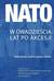 Książka ePub NATO w dwadzieÅ›cia lat po akcesji - praca zbiorowa