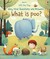 Książka ePub What is poo? | ZAKÅADKA GRATIS DO KAÅ»DEGO ZAMÃ“WIENIA - Daynes Katie