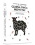 Książka ePub Czarna owca medycyny Jeffrey A. Lieberman ! - Jeffrey A. Lieberman