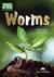 Książka ePub Worms. Reader Level A1/A2 + DigiBook - Virginia Evans, Jenny Dooley
