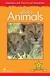 Książka ePub Factual: Baby Animals 1+ - Thea Feldman