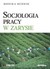 Książka ePub Socjologia pracy w zarysie Monika Budnik ! - Monika Budnik