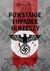 Książka ePub Powstanie i upadek III Rzeszy. Hitler i narodziny III Rzeszy. Tom 3 - William L. Shirer