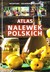 Książka ePub Atlas polskich nalewek [KSIÄ„Å»KA] - Opracowanie zbiorowe