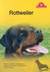 Książka ePub Pies na medal. Rottweiler - praca zbiorowa