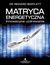 Książka ePub Matryca Energetyczna. Innowacyjne uzdrawianie - Richard Bartlett