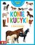 Książka ePub Wszystko wiem! Konie i kucyki z naklejkami - Maruszczak Marta