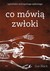 Książka ePub Co mÃ³wiÄ… zwÅ‚oki Sue Black ! - Sue Black