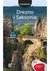 Książka ePub Drezno i Saksonia. Travelbook. Wydanie 1 - Andrzej KÅ‚opotowski