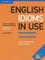 Książka ePub English Idioms in Use Intermediate - Michael McCarthy